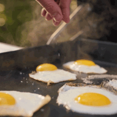 Rectangular Stainless Steel Grill Pan | Outdoor BBQ Cookware, Easy to Clean