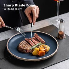 SmartCook Set of 2 – 4.5" High Carbon Stainless Steel Steak Knives with Sheaths, Ergonomic Design