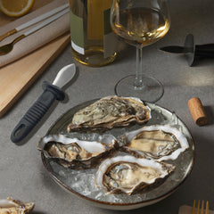 [Set of 5] SmartCook Oyster Knives  of Carbon Stainless Steel